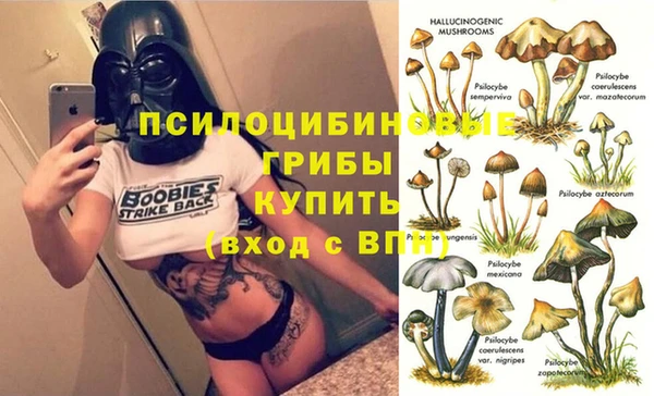 ALPHA-PVP Богородицк