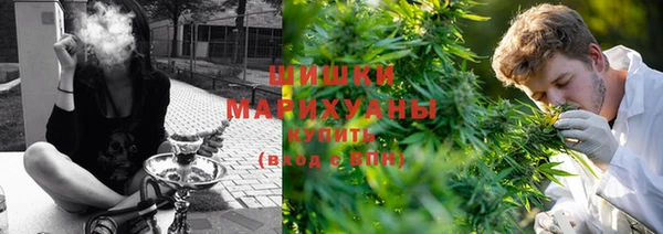 прущая мука Богданович